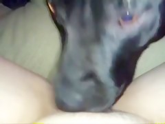Nasty zoo sex dog