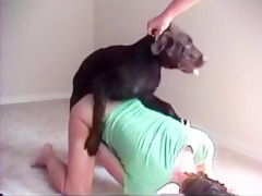 240px x 180px - Puppy training part 1 - Bestiality Girls - Beast Porn Videos