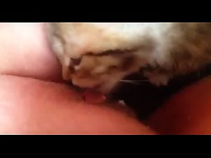 Cat Pussy Sex Girl Porn - Most Relevant Videos - cat pussy sex - Bestiality Girls - Beast Porn Videos