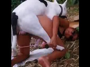 Dog in the forest - Bestiality Girls - Beast Porn Videos