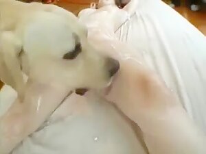 GloryQuest The Beast Fuck 10 MAD 18 Marina Aikawa