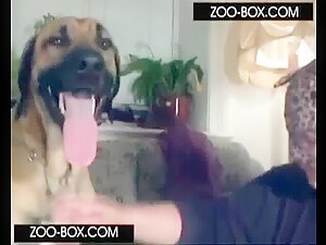 Blu Dog Sex - Most Recent Dog sex videos Videos - zooskool com br - Page 2 - Bestiality  Girls - Beast Porn Videos