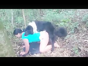 Dog in the forest - Bestiality Girls - Beast Porn Videos
