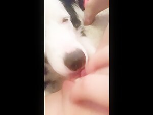 TEEN GIRL PISSES RIGHT IN DOGS FACE AS HE EATS HER PUSSY