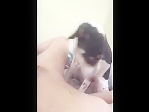 Horny dog lick amateur teen pussy