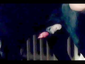Thumb 1