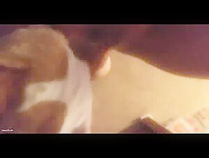 Dog licks while riding dildo