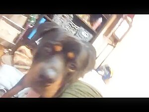 Blue Hair girl trains dog