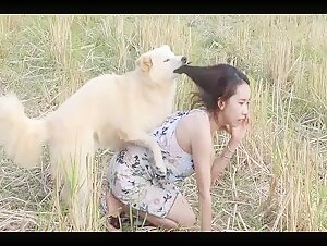 Shy Thai Jerking Dog