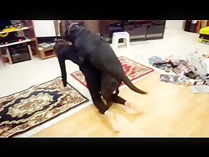 国内人兽资源，需要可以私聊我企鹅号1754959986