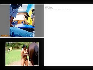 Indian College Class Watches Dogs and Horses