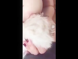 Breastfeeding puppy
