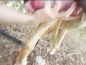 Chupando o pau do cachorro